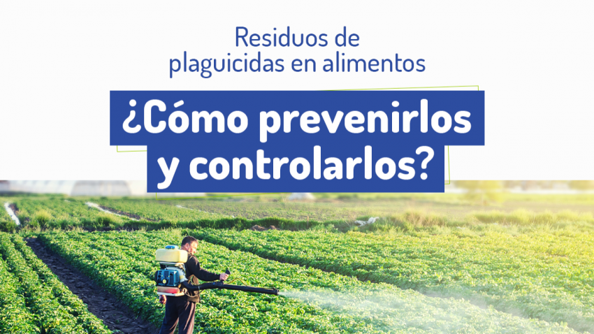 La importancia de las Buenas Prácticas Agrícolas con los plaguicidas 