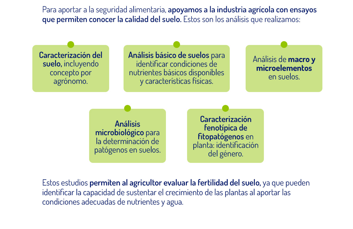 1. Caracterización del suelo, incluyendo concepto por agrónomo.  2. Análisis básico de suelos para identificar condiciones de nutrientes básicos disponibles y características físicas.  3. Análisis de macro y microelementos en suelos.  4. Análisis microbiológico para la determinación de patógenos en suelos.  5. Caracterización fenotípica de fitopatógenos en planta: identificación del género.  Estos estudios permiten al agricultor evaluar la fertilidad del suelo, ya que pueden identificar la capacidad de sustentar el crecimiento de las plantas al aportar las condiciones adecuadas de nutrientes y agua. 